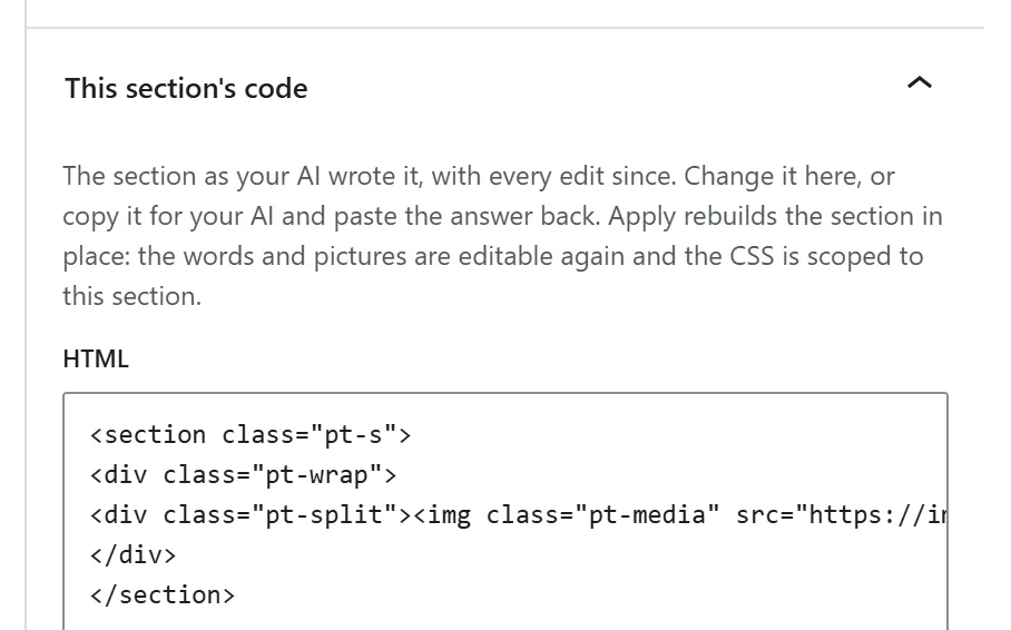 Pro's This section's code panel in the editor: the section as your AI wrote it, to change here or copy for your AI