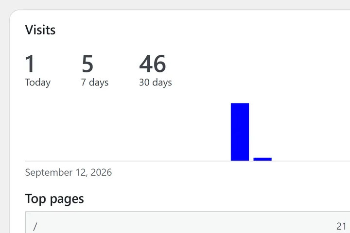 The Visits card on Search & visits: visits today, in 7 days and in 30 days, a bar for each day, and the top pages under it